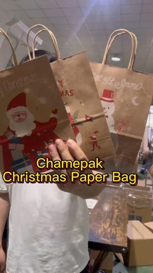Customized Lovely & Durable Christmas Gift Paper Bag for Shopping and Packing