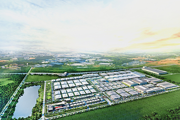 Quanzhou Mystic Mind Inc.