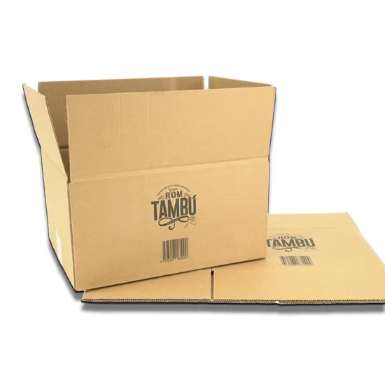 Customized Paper Be Flute Corrugated Archive Storge Shipping Carton with Custom Printing
